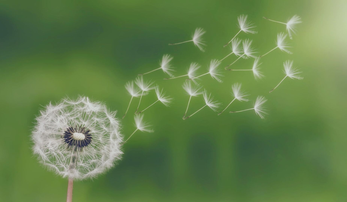 「捨．得」 薩提爾模式進階個人成長體驗工作坊 